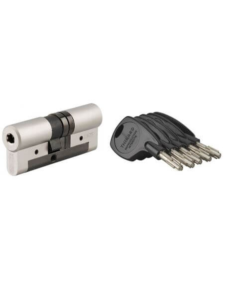 Butuc usa 33 x 43 mm, standard, nichel mat, inalta siguranta COBRA 2+, 4 chei cu pompe si card proprietate, THIRARD - 1