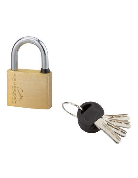 Lacat de exterior, cu cheie, 40 mm, 4 chei reversibile - SP - 1