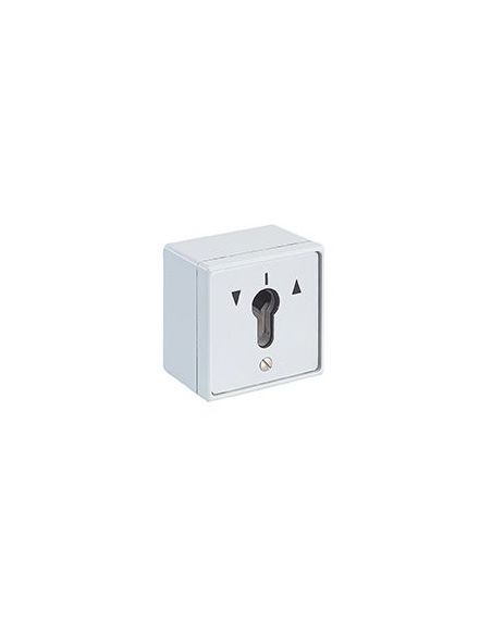 Comutator cu cheie, aplicat, pregatire cilindru 30 x 10 mm - 1